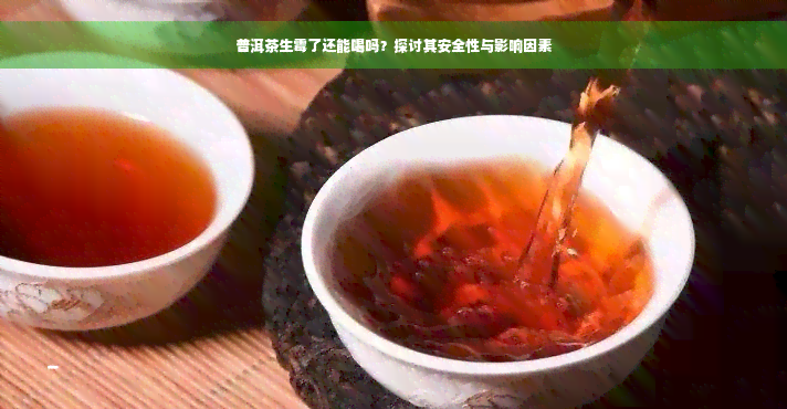 普洱茶生霉了还能喝吗？探讨其安全性与影响因素