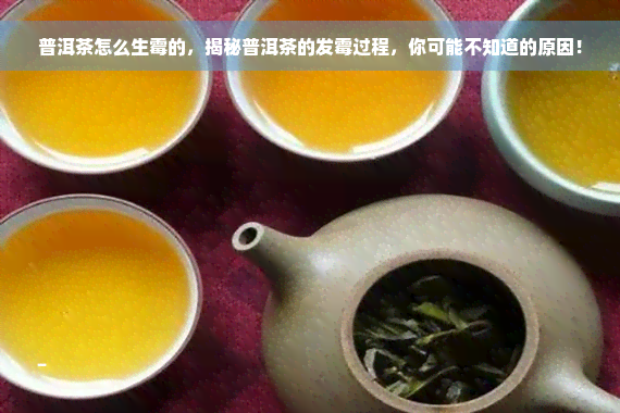 普洱茶怎么生霉的，揭秘普洱茶的发霉过程，你可能不知道的原因！