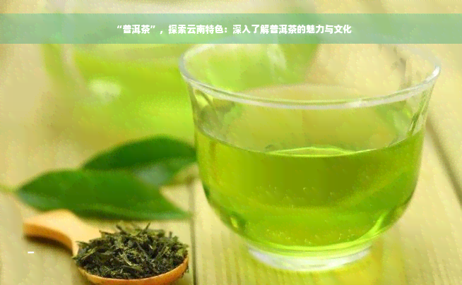 “普洱茶”，探索云南特色：深入了解普洱茶的魅力与文化