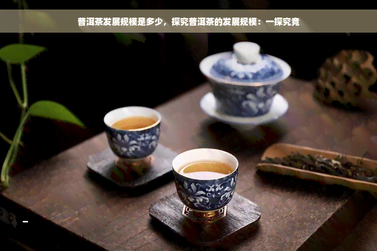 普洱茶发展规模是多少，探究普洱茶的发展规模：一探究竟