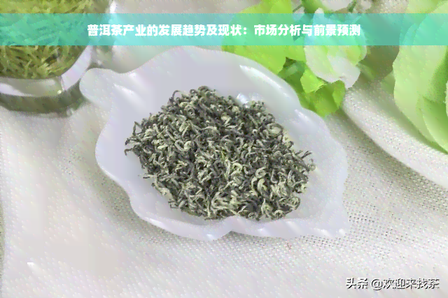 普洱茶产业的发展趋势及现状：市场分析与前景预测