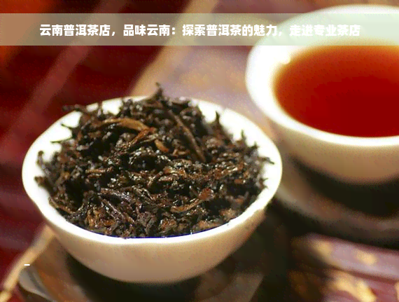 云南普洱茶店，品味云南：探索普洱茶的魅力，走进专业茶店