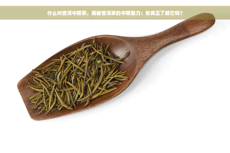 什么叫普洱中期茶，揭秘普洱茶的中期魅力：你真正了解它吗？