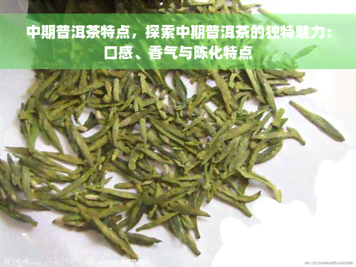 中期普洱茶特点，探索中期普洱茶的独特魅力：口感、香气与陈化特点