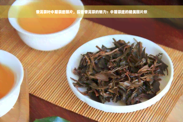 普洱茶叶中期茶底图片，探索普洱茶的魅力：中期茶底的精美图片欣