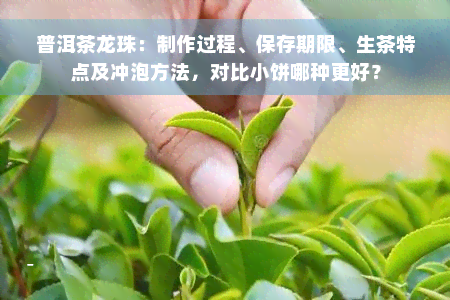 普洱茶龙珠：制作过程、保存期限、生茶特点及冲泡方法，对比小饼哪种更好？