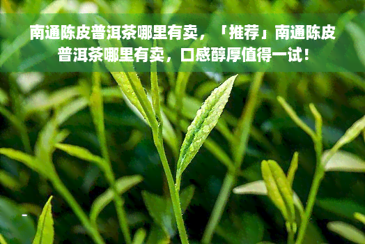 南通陈皮普洱茶哪里有卖，「推荐」南通陈皮普洱茶哪里有卖，口感醇厚值得一试！