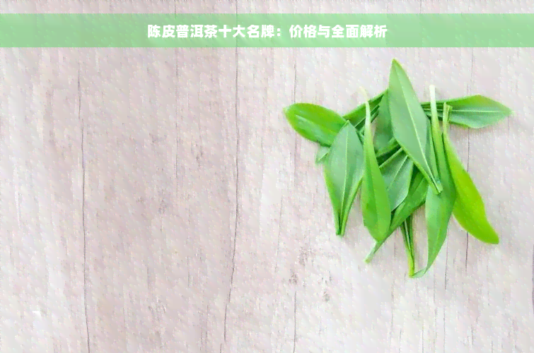 陈皮普洱茶十大名牌：价格与全面解析