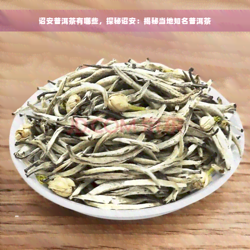 诏安普洱茶有哪些，探秘诏安：揭秘当地知名普洱茶