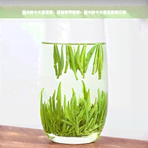 最火的十大普洱茶，探秘茶界新宠：最火的十大普洱茶排行榜