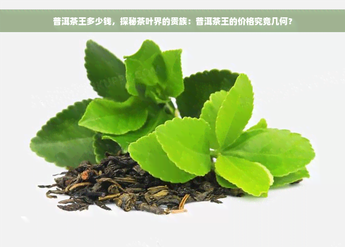 普洱茶王多少钱，探秘茶叶界的贵族：普洱茶王的价格究竟几何？