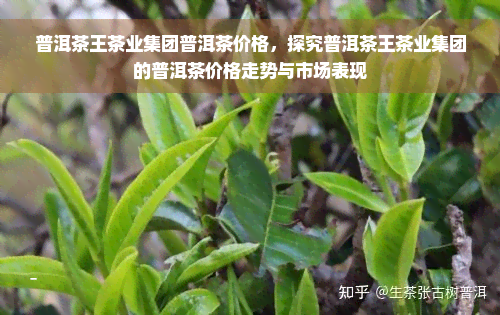 普洱茶王茶业集团普洱茶价格，探究普洱茶王茶业集团的普洱茶价格走势与市场表现