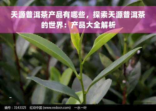 天源普洱茶产品有哪些，探索天源普洱茶的世界：产品大全解析