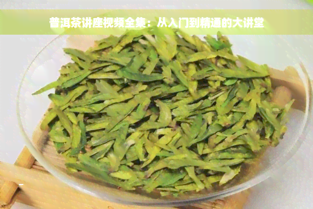 普洱茶讲座视频全集：从入门到精通的大讲堂