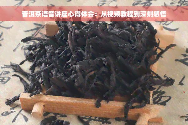 普洱茶语音讲座心得体会：从视频教程到深刻感悟