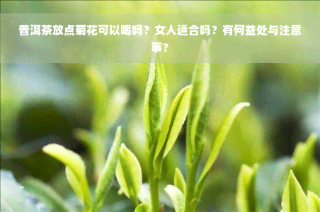 普洱茶放点菊花可以喝吗？女人适合吗？有何益处与注意事？