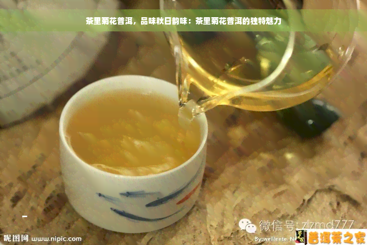 茶里菊花普洱，品味秋日韵味：茶里菊花普洱的独特魅力