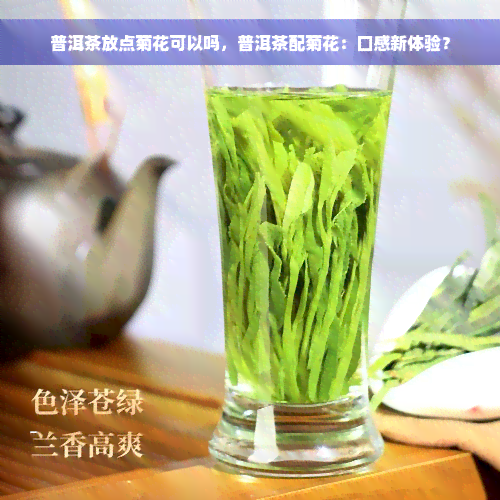 普洱茶放点菊花可以吗，普洱茶配菊花：口感新体验？