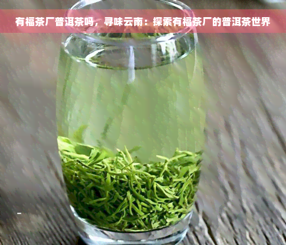 有福茶厂普洱茶吗，寻味云南：探索有福茶厂的普洱茶世界