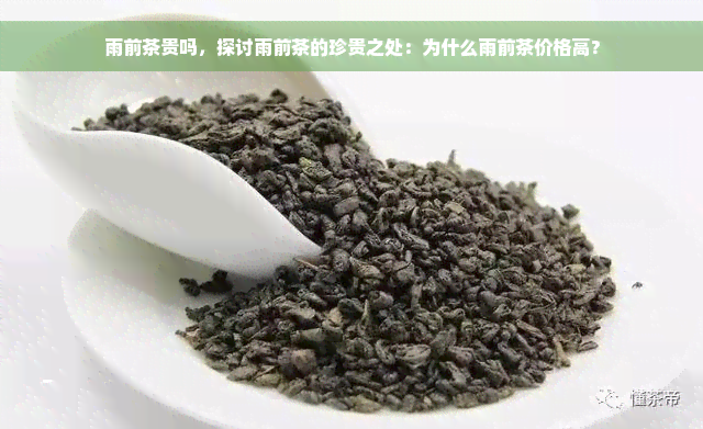 雨前茶贵吗，探讨雨前茶的珍贵之处：为什么雨前茶价格高？