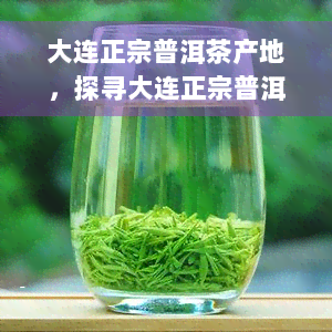 大连正宗普洱茶产地，探寻大连正宗普洱茶的产地，品味独特的茶香韵味