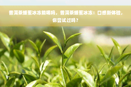 普洱茶蜂蜜冰冻能喝吗，普洱茶蜂蜜冰冻：口感新体验，你尝试过吗？