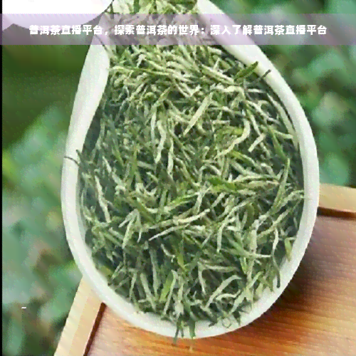 普洱茶直播平台，探索普洱茶的世界：深入了解普洱茶直播平台