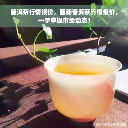 普洱茶行情报价，最新普洱茶行情报价，一手掌握市场动态！