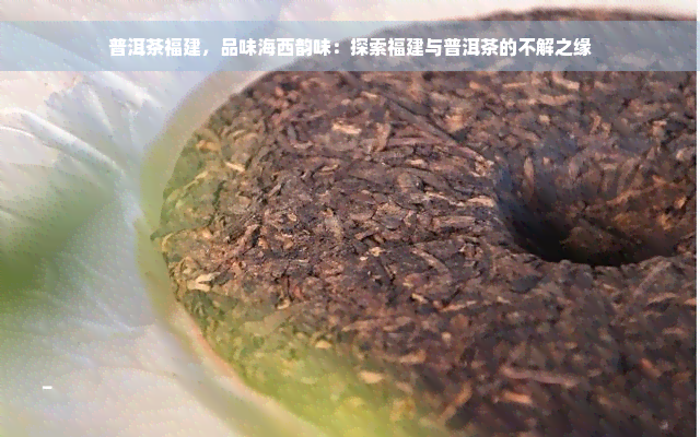 普洱茶福建，品味海西韵味：探索福建与普洱茶的不解之缘