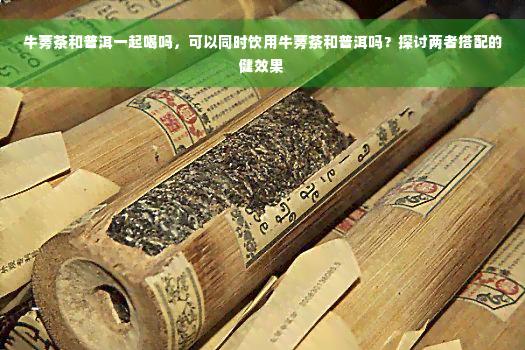 牛蒡茶和普洱一起喝吗，可以同时饮用牛蒡茶和普洱吗？探讨两者搭配的健效果