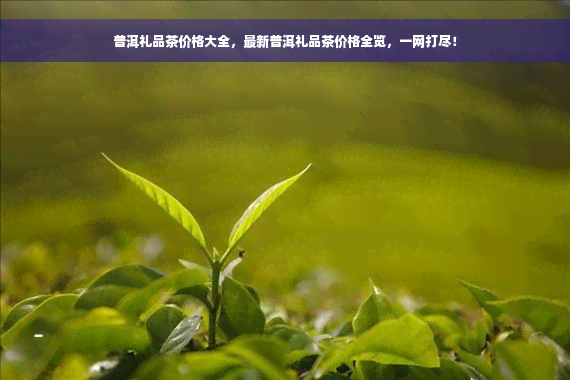 普洱礼品茶价格大全，最新普洱礼品茶价格全览，一网打尽！