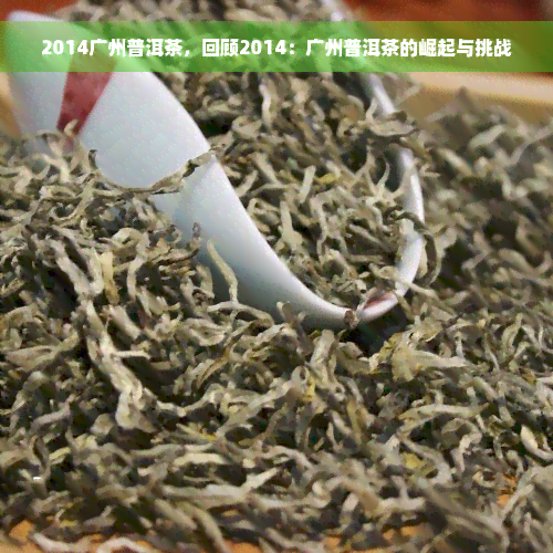 2014广州普洱茶，回顾2014：广州普洱茶的崛起与挑战