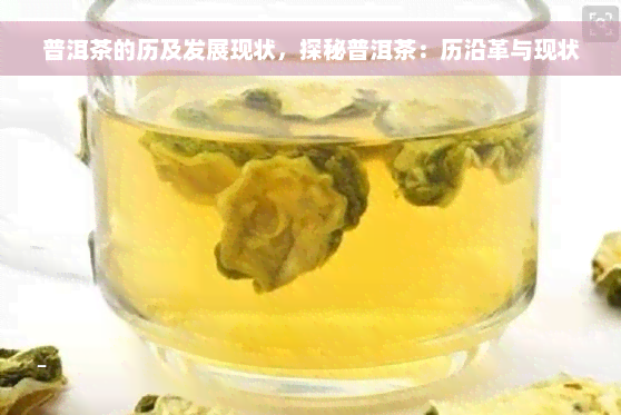 普洱茶的历及发展现状，探秘普洱茶：历沿革与现状