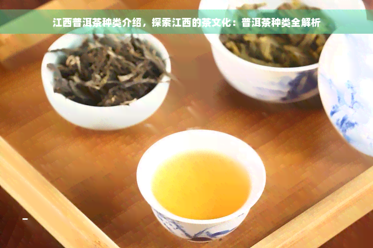 江西普洱茶种类介绍，探索江西的茶文化：普洱茶种类全解析