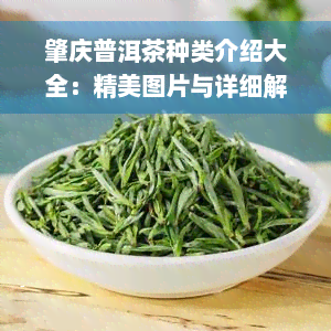 肇庆普洱茶种类介绍大全：精美图片与详细解说