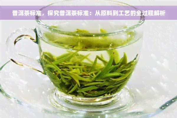 普洱茶标准，探究普洱茶标准：从原料到工艺的全过程解析