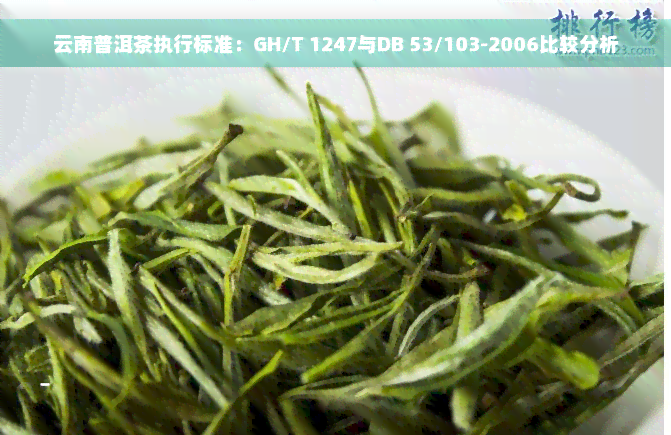 云南普洱茶执行标准：GH/T 1247与DB 53/103-2006比较分析