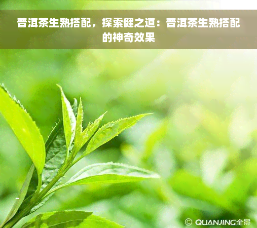 普洱茶生熟搭配，探索健之道：普洱茶生熟搭配的神奇效果