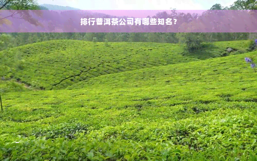 排行普洱茶公司有哪些知名？