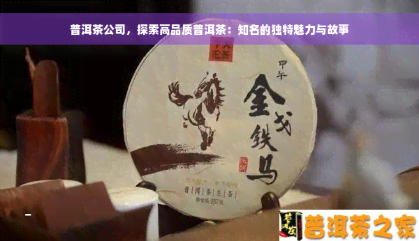 普洱茶公司，探索高品质普洱茶：知名的独特魅力与故事