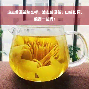 波志普洱茶怎么样，波志普洱茶：口感如何，值得一试吗？