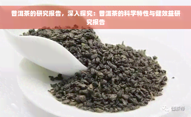 普洱茶的研究报告，深入探究：普洱茶的科学特性与健效益研究报告