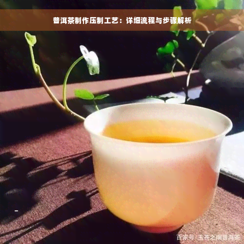 普洱茶制作压制工艺：详细流程与步骤解析