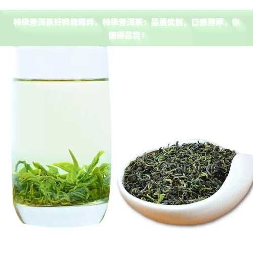 特级普洱茶好吗能喝吗，特级普洱茶：品质优越，口感醇厚，你值得品尝！