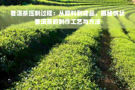 普洱茶压制过程：从原料到成品，揭秘饼状普洱茶的制作工艺与方法