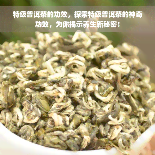 特级普洱茶的功效，探索特级普洱茶的神奇功效，为你揭示养生新秘密！