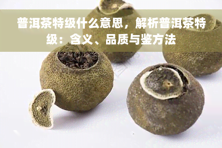 普洱茶特级什么意思，解析普洱茶特级：含义、品质与鉴方法