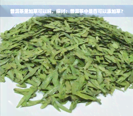 普洱茶里加草可以吗，探讨：普洱茶中是否可以添加草？