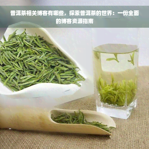 普洱茶相关博客有哪些，探索普洱茶的世界：一份全面的博客资源指南