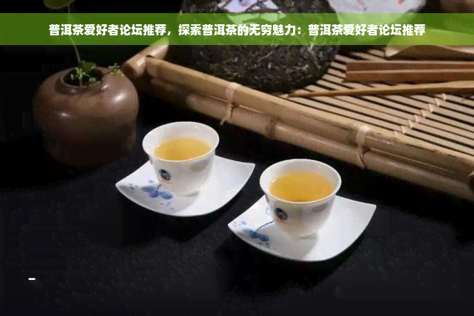 普洱茶爱好者论坛推荐，探索普洱茶的无穷魅力：普洱茶爱好者论坛推荐